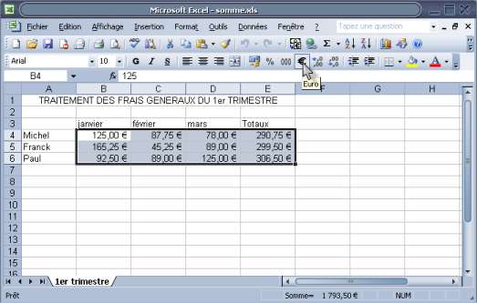 ajouter le sigle Euro à des calculs Excel